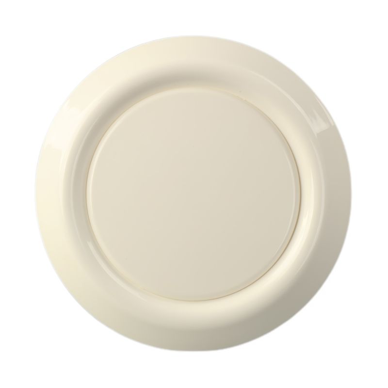 23-65 Valve à disque en plastique support personnalisé pour une ventilation optimale de l'air dans les systèmes CVC